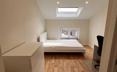 Kot/appartement à louer à Liège Saint-Gilles/Botanique