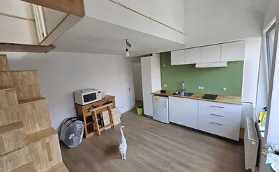 Kot/chambre à louer à Schaerbeek