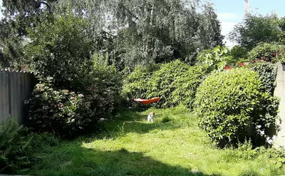 Kot chez l'habitant à louer à Anderlecht