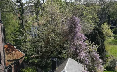 Kot (kamer in huis delen) in Luik St Gilles