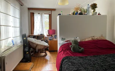 Kot/kamer te huur in Louvain-la-Neuve Wavre