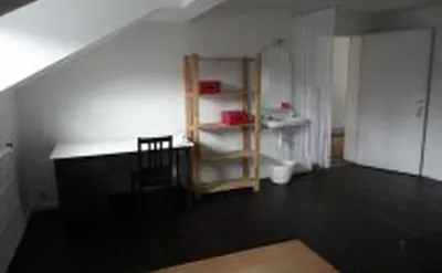 Kot (kamer in huis delen) in Salzinnes