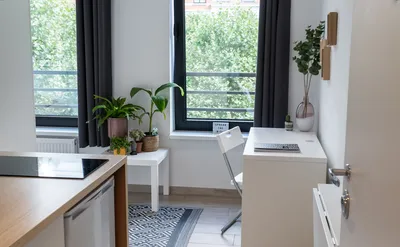 Kot/studio for rent in Brussels